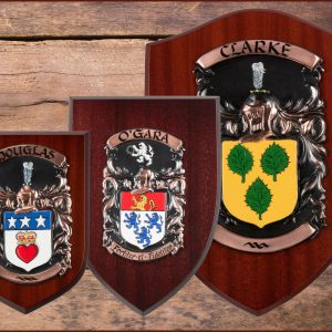 Coat of Arms / Family Crest Personalised Shield - Hardwood, Bespoke Gift