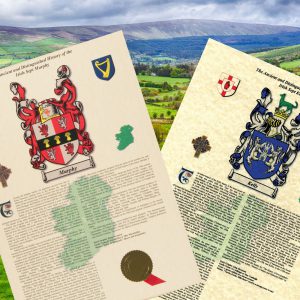 Irish Surname History Prints